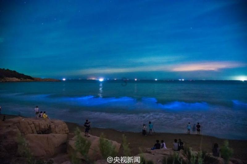 酒店前员工偶然拍到后厨厨师用烤箱烤鞋子，酒店回应：会去核实后厨有监控