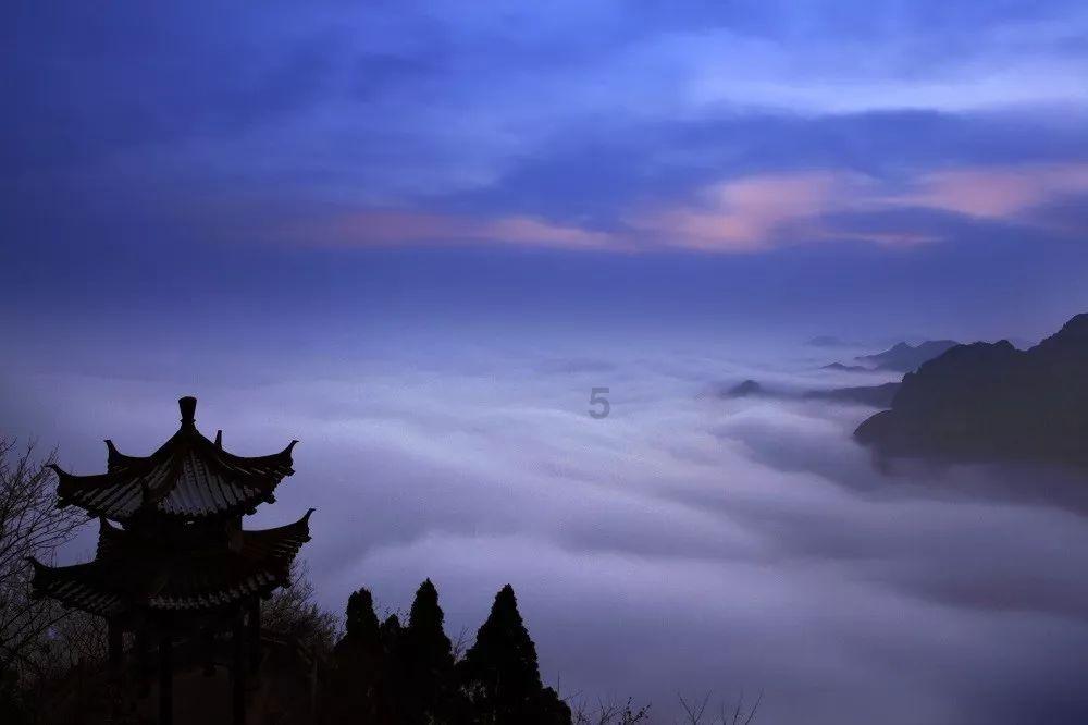 推动生态环境更高水平保护