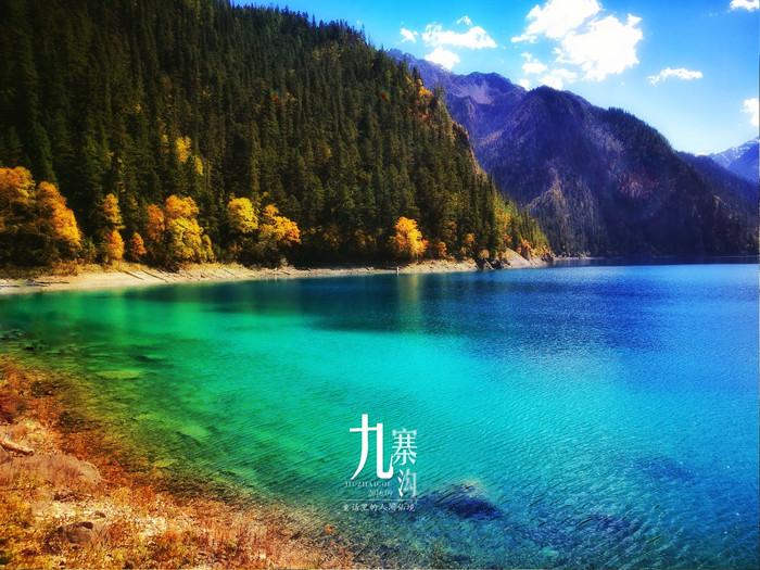 黑道圣徒4