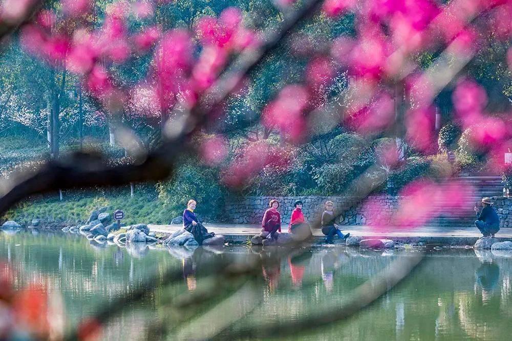 虫虫助手下载
