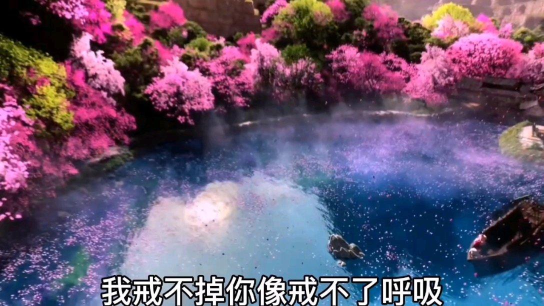 创作猫