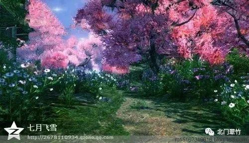 数码宝贝8