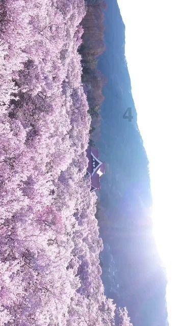 液化天然气站养海鲜？走！去现场看看
