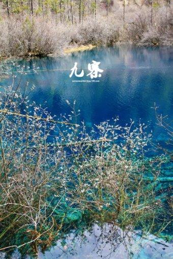 逗小猴开心系列205