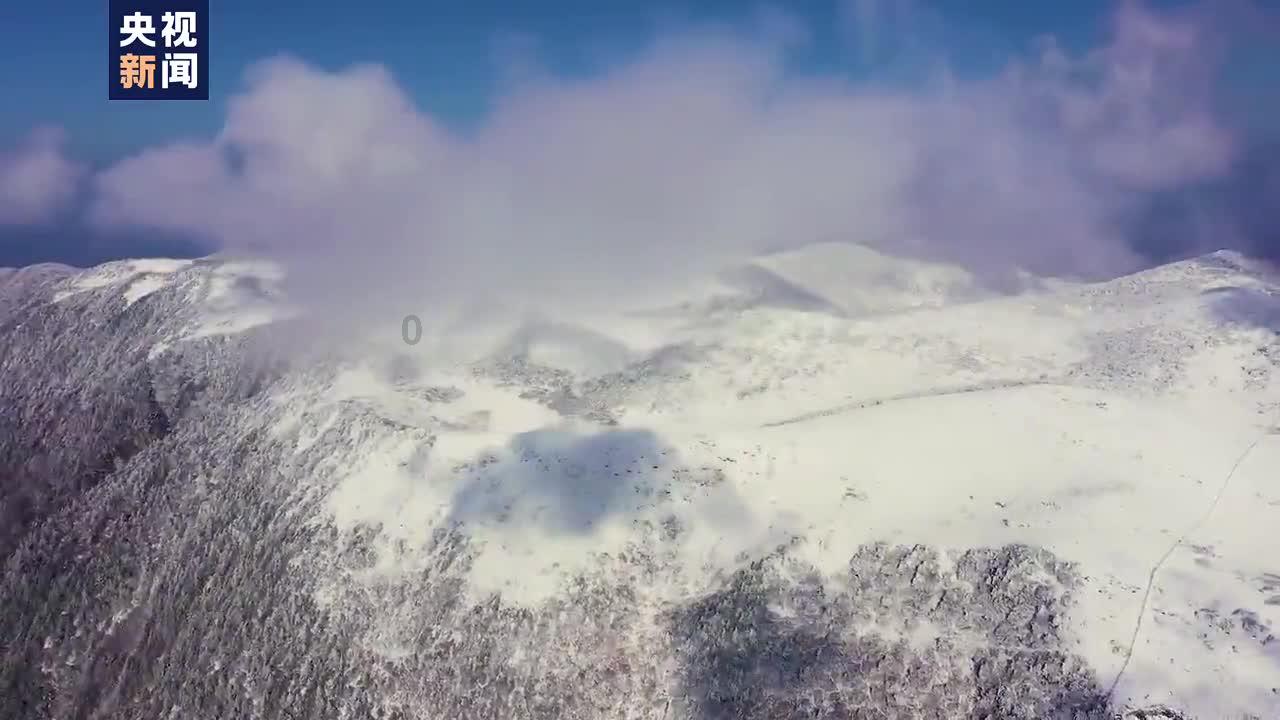 次元喵