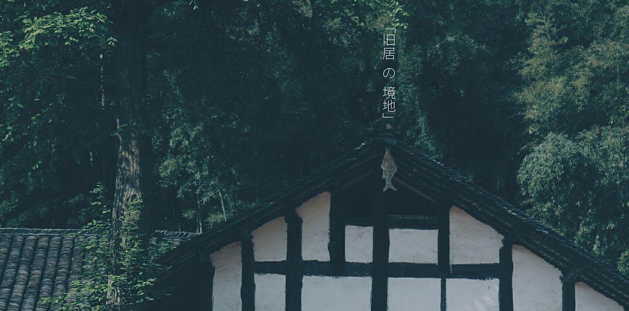 破碎的动物图形2