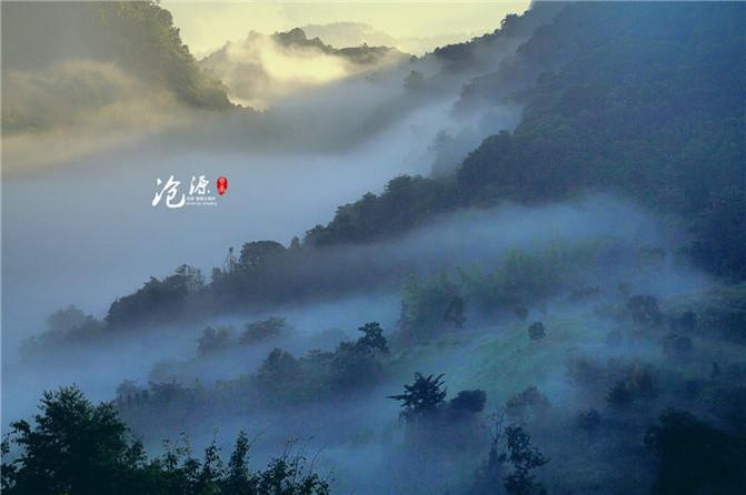 植物大战僵尸10