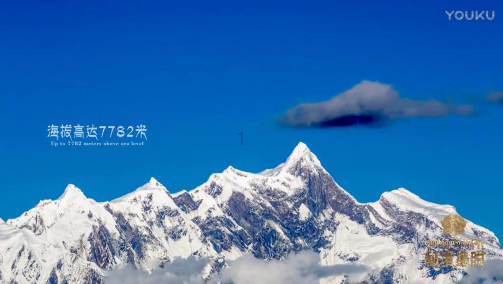 虫虫助手下载