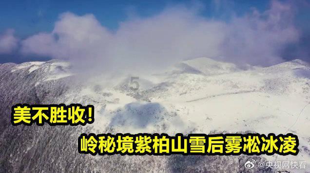 炮轰男爵