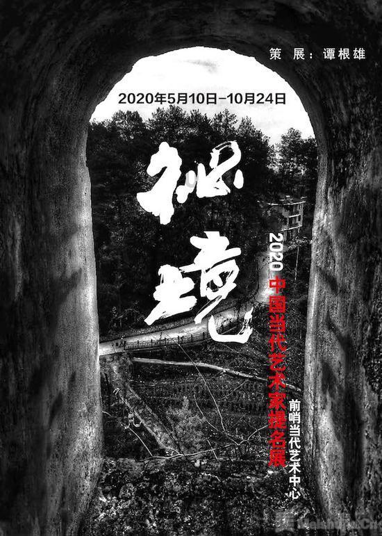 拯救机灵鸟