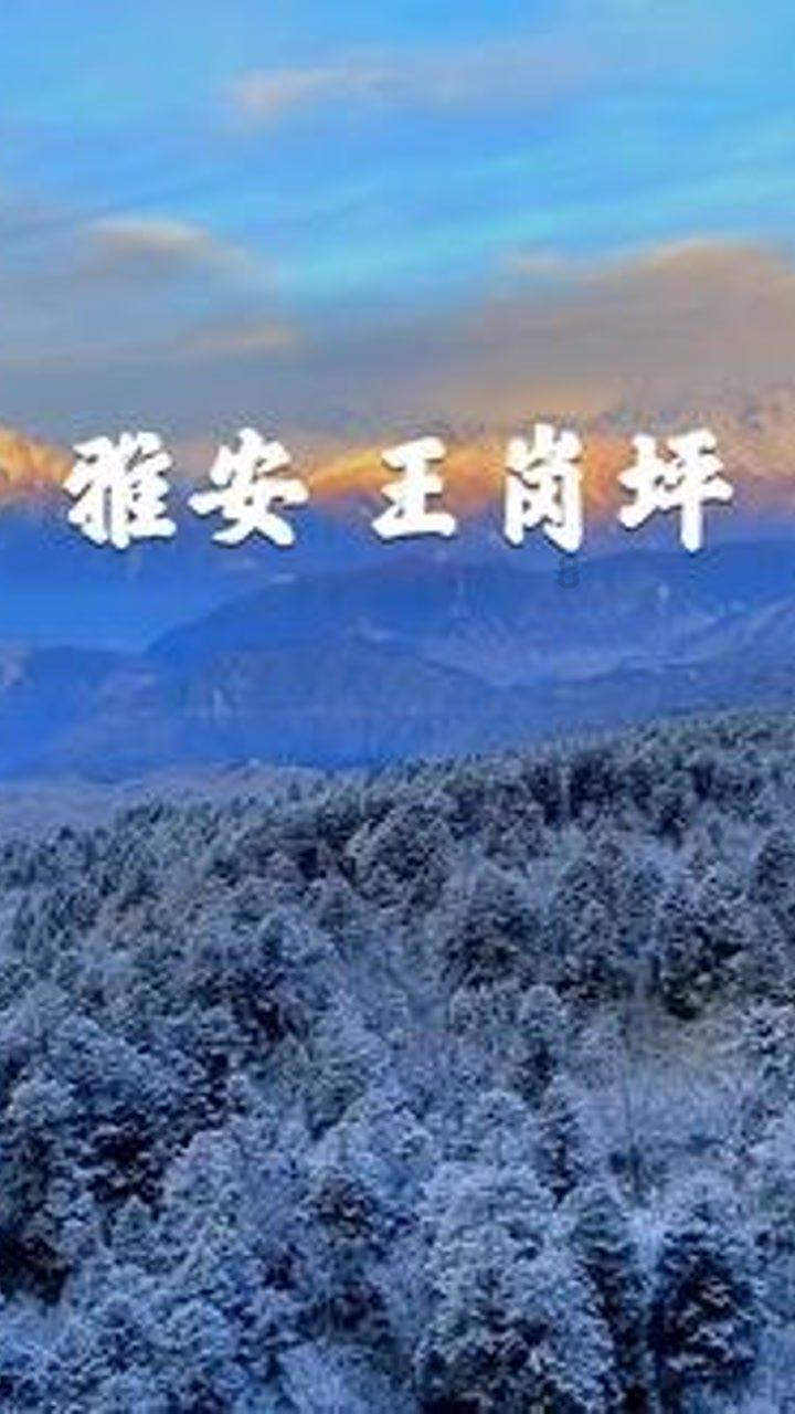 动物帮帮忙保卫家园