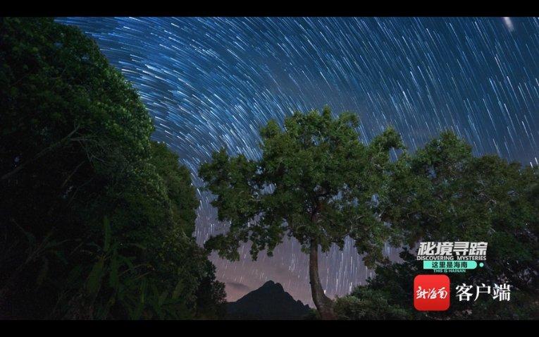 《幻兽帕鲁》伏特喵全配种搭配一览