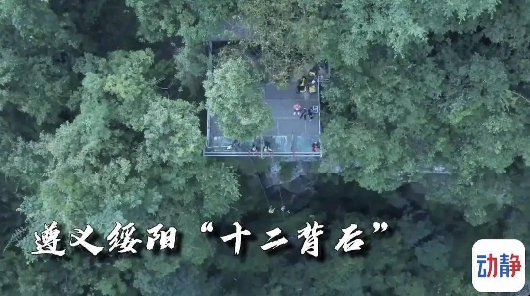 1454斤鲢鱼“安家”神仙湖