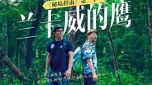 旅途/风之旅人