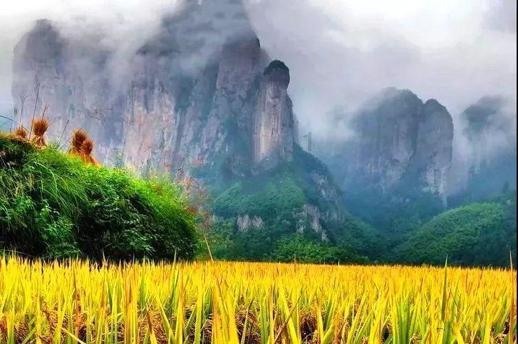 迷你飞机大战