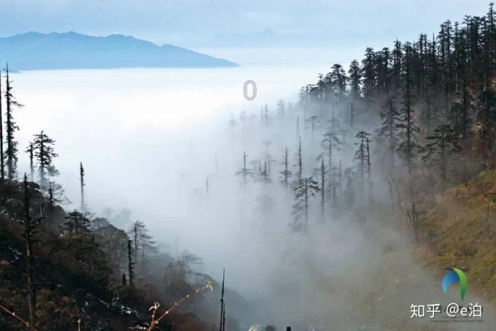 次元喵