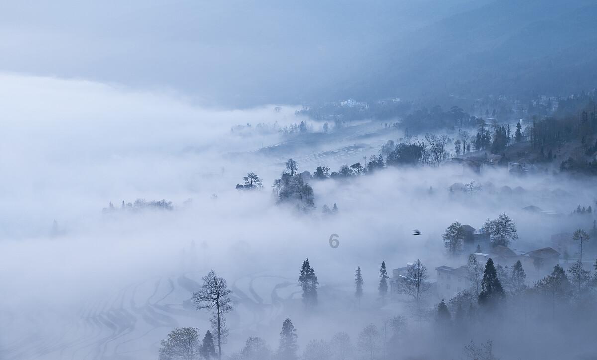逃出猫头鹰岛