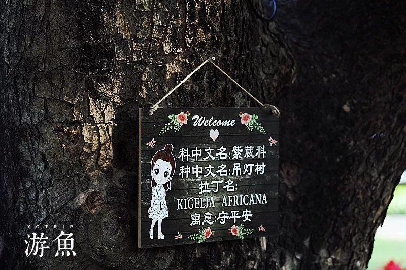 快船队遭受伤病打击，祖巴茨右小腿拉伤后复查待定