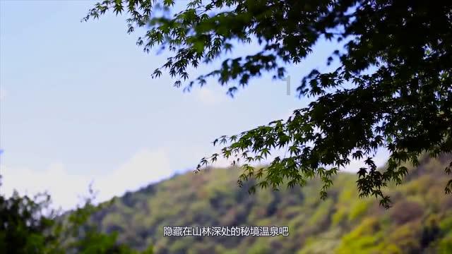 上升的五彩石
