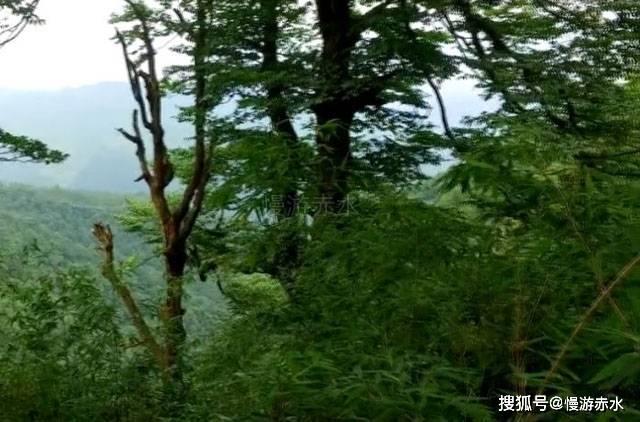 快来打卡!“龙行中华——甲辰龙年生肖文物大联展”开幕