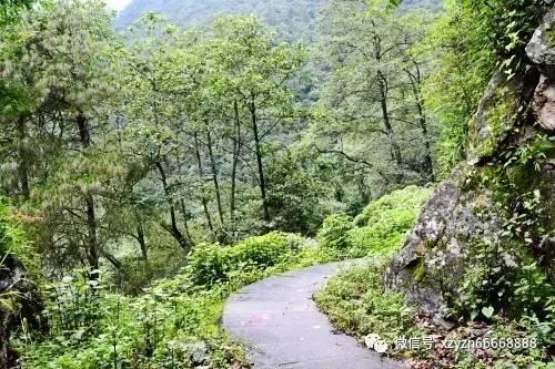 紧闭的闸门