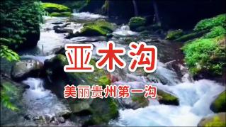 滴滴举行网约车合作伙伴大会 与174家合作伙伴共商发展