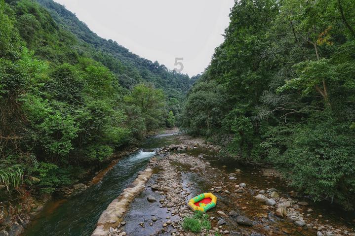 寻找火鸡