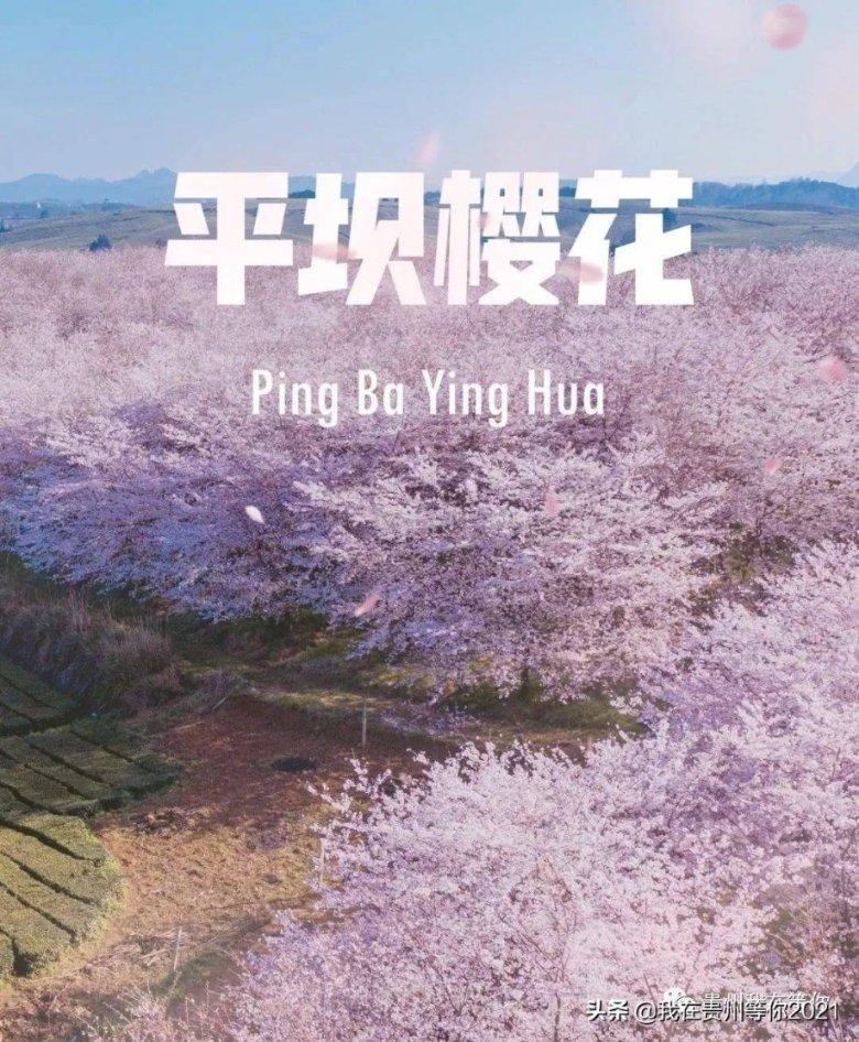次元喵