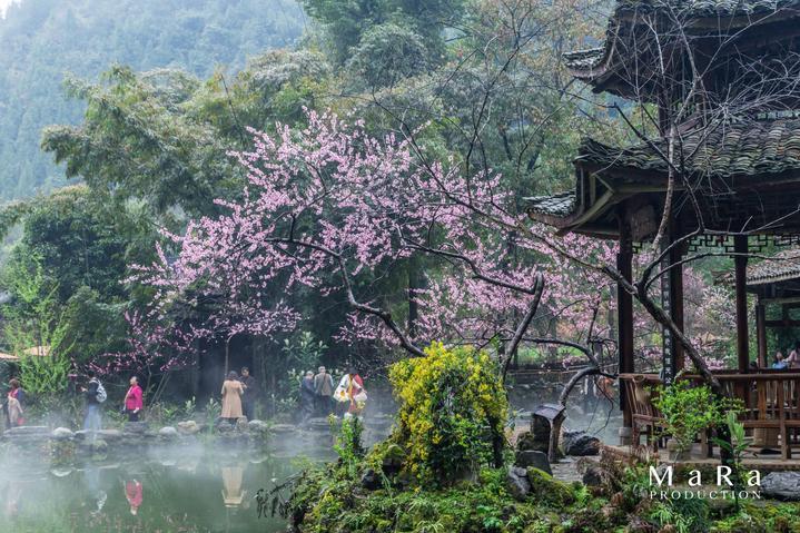 暗黑精灵的装扮