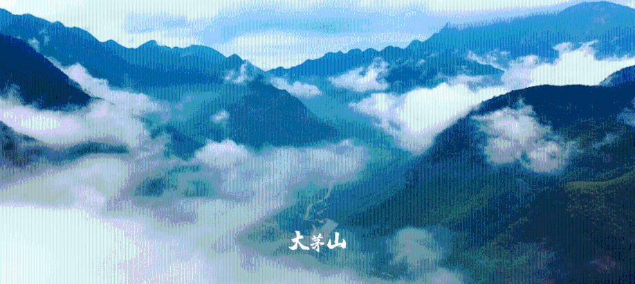 华为P70系列前瞻:麒麟荣光回来了