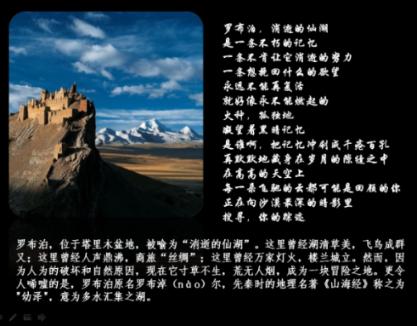 埃利的时装周