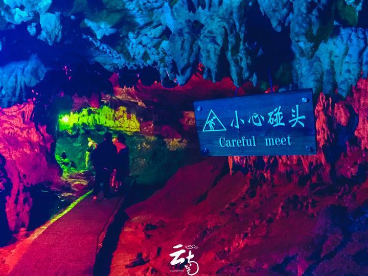 小猫钓鱼正版下载中文版