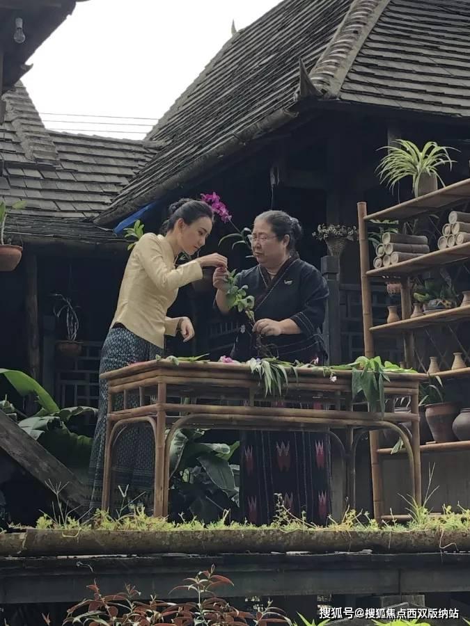 父母反对我不结婚怎么办？？？？游戏画面