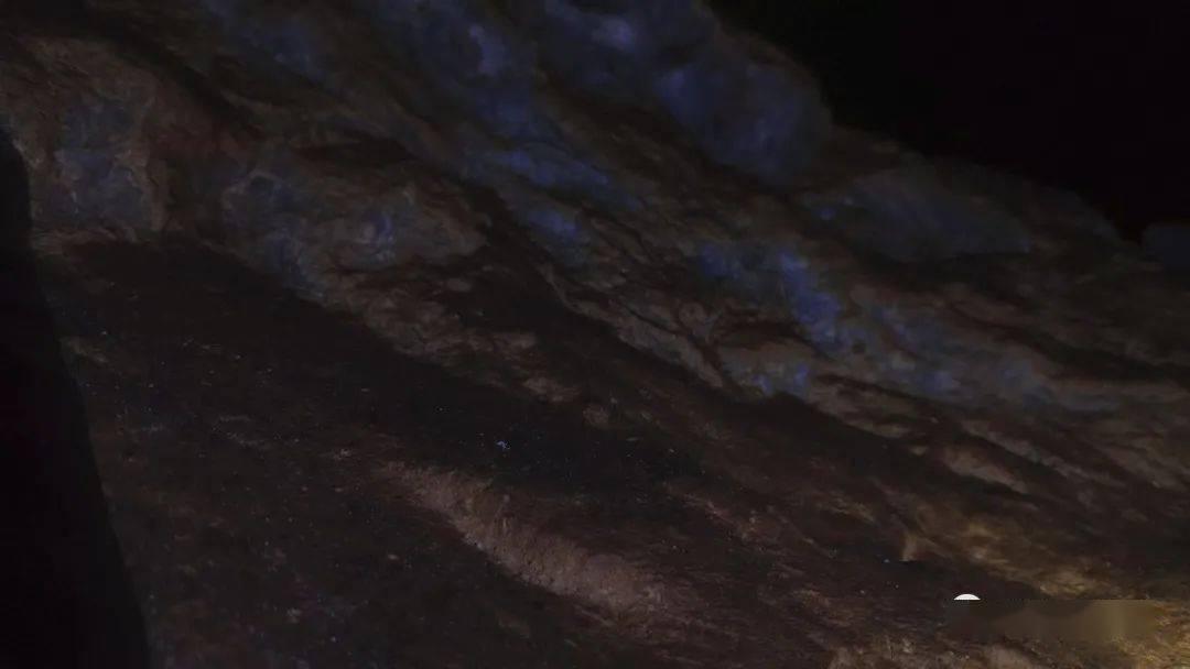 寻找海盗帽的男孩