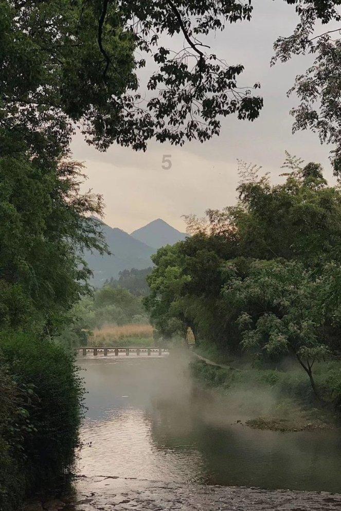 做红烧牛肉的步骤游戏画面