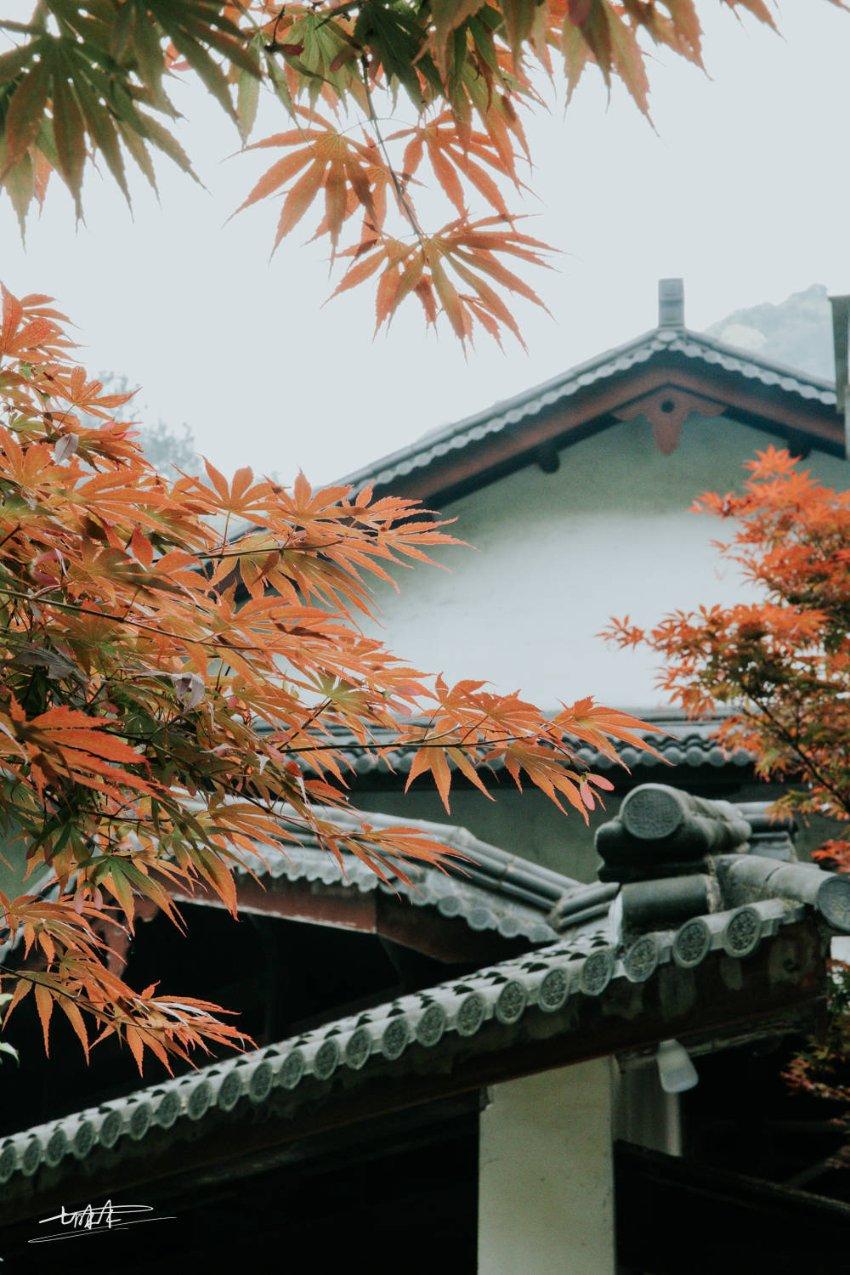 芭蕾舞者美容院