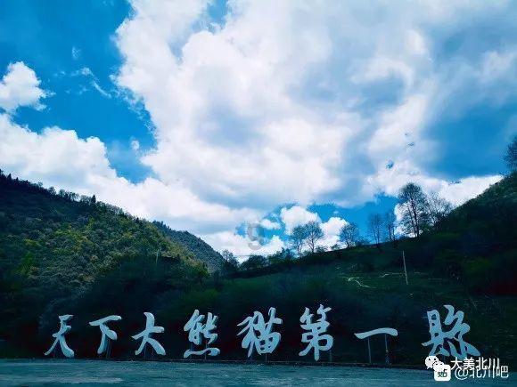 事关广大市民、游客安全!天津一区发布倡议