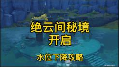 可爱的小考拉