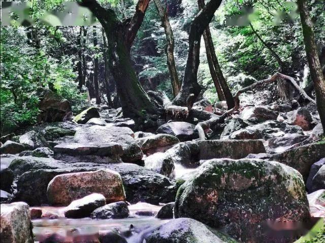 88影视