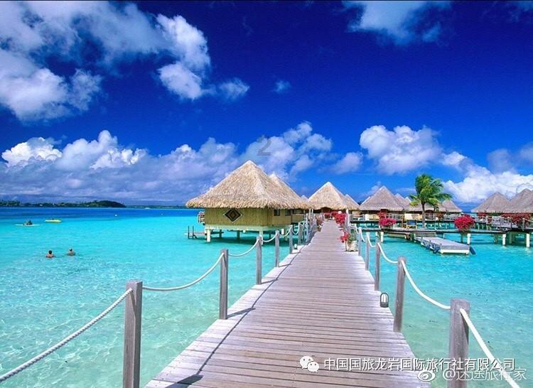 看似懒散，其实想法多，思维开阔，容易成功的星座有哪些？游戏画面
