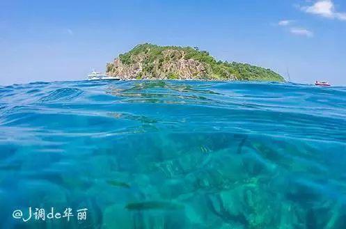 马来西亚棕榈油产量将受益于外国工人的进入