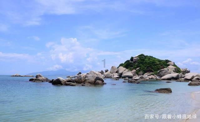 救援小白狼
