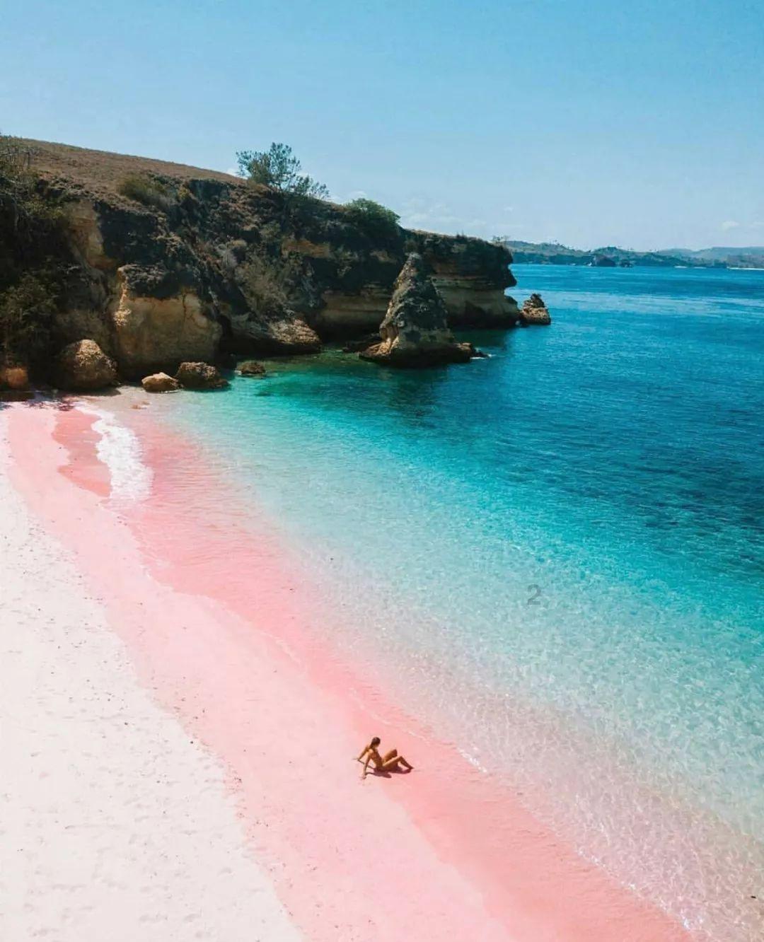 海之号角神秘海怪