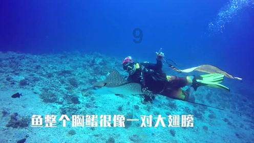 济宁市任城区市场监督管理局召开2024年党风廉政建设专题会议