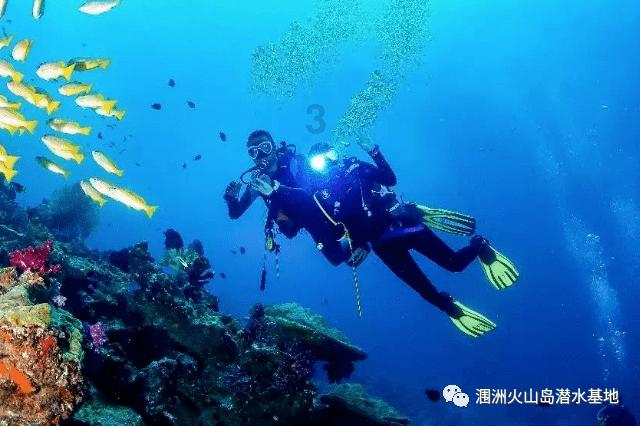 火影忍者冒险传