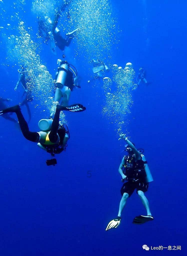 航海王