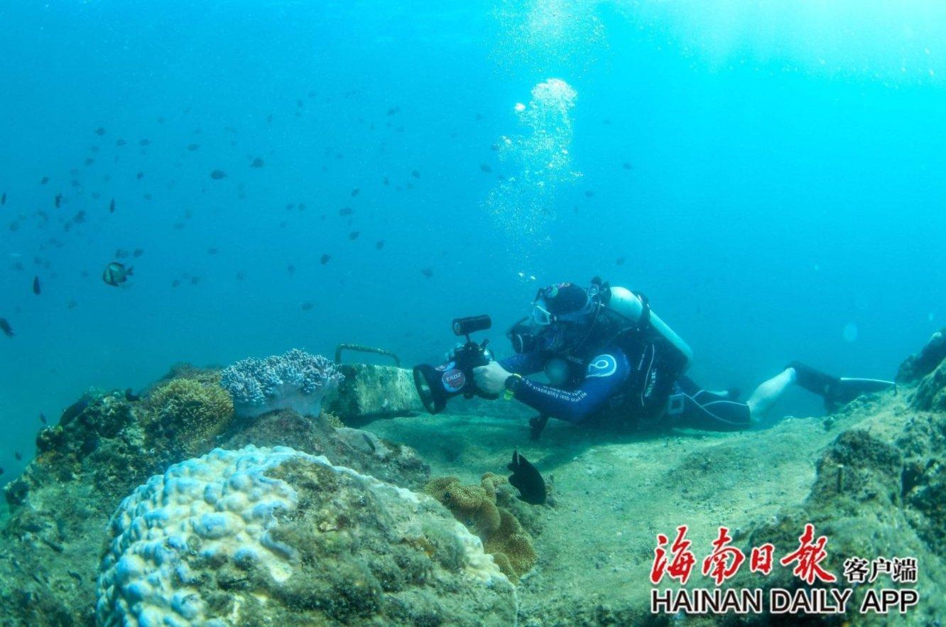 小猫钓鱼正版下载中文版