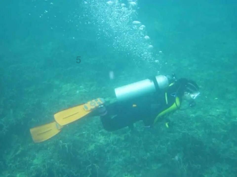 棒球训练赛