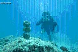 星露谷物语
