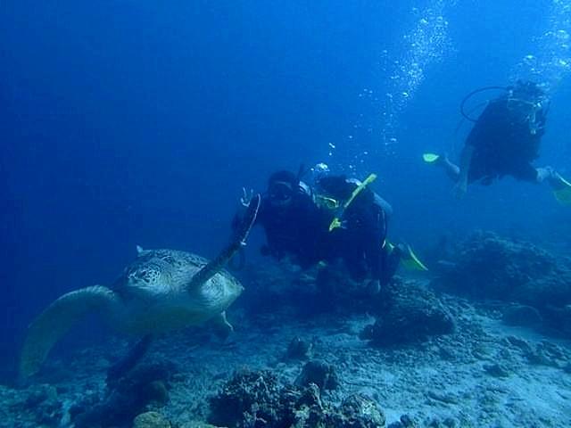 省政协委员蒋维明：整合川渝文旅资源，打造巴蜀特别旅游区